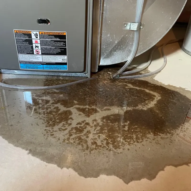Appliance Leak Cleanup in Mescalero, NM