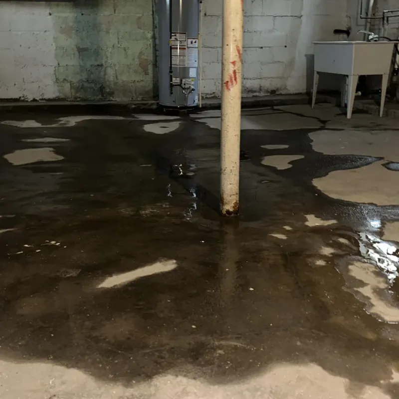 Emergency Water Extraction And Removal in Mescalero, NM